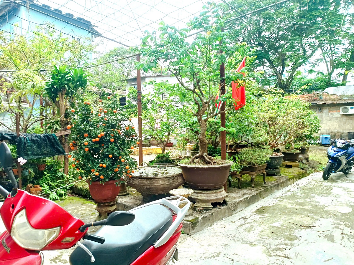 🍁 BÁN ĐẤT TẶNG NHÀ C4 — MẶT TIỀN ĐƯỜNG NGUYỄN HUỆ, VĨNH NINH, TP HUẾ 🍁 - Ảnh chính