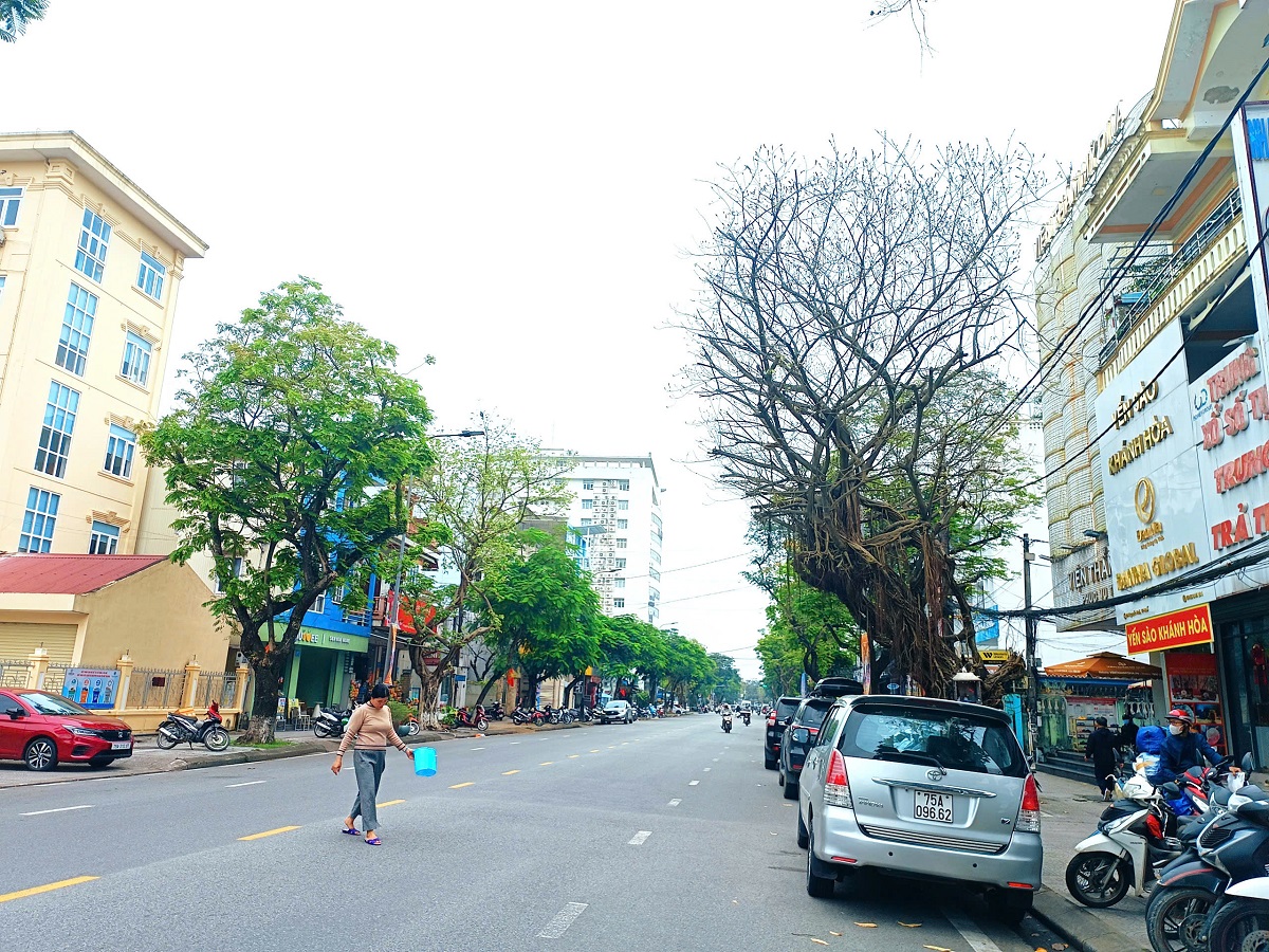 🍁 BÁN ĐẤT TẶNG NHÀ C4 — MẶT TIỀN ĐƯỜNG NGUYỄN HUỆ, VĨNH NINH, TP HUẾ 🍁 - Ảnh 1