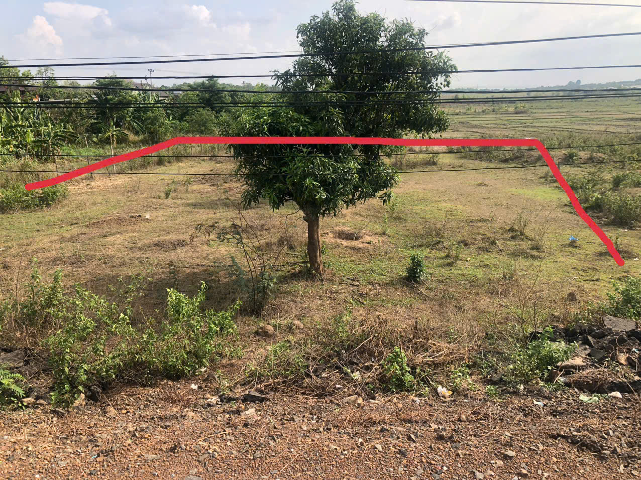 400 m2 thổ cư, 17m Mặt tiền Tỉnh lộ 1 - Cách trung tâm H.Buôn Đôn 500m, giá chỉ 170 tr/m - Ảnh 1