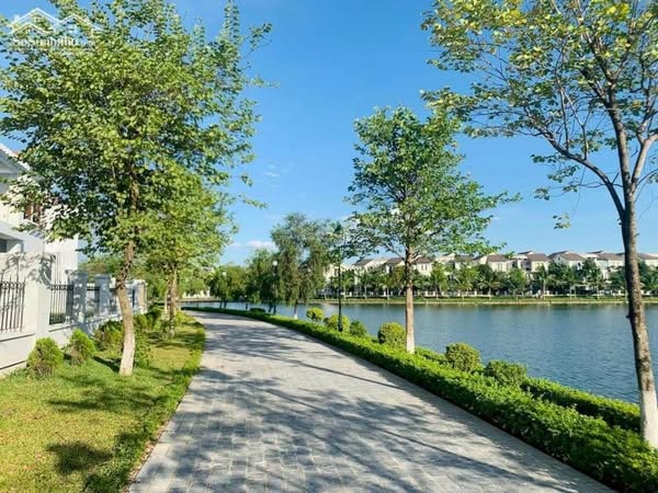 (Bán Gấp) Biệt Thự Vườn TT15 - KĐT Nam An Khánh: Vị Trí Trung Tâm, Giá Cực Tốt - Ảnh chính