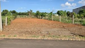 BÁN GẤP ĐẤT DẦU TIẾNG 200m² – NGAY KHU CÔNG NGHIỆP – GIÁ 300 TRIỆU - Ảnh chính
