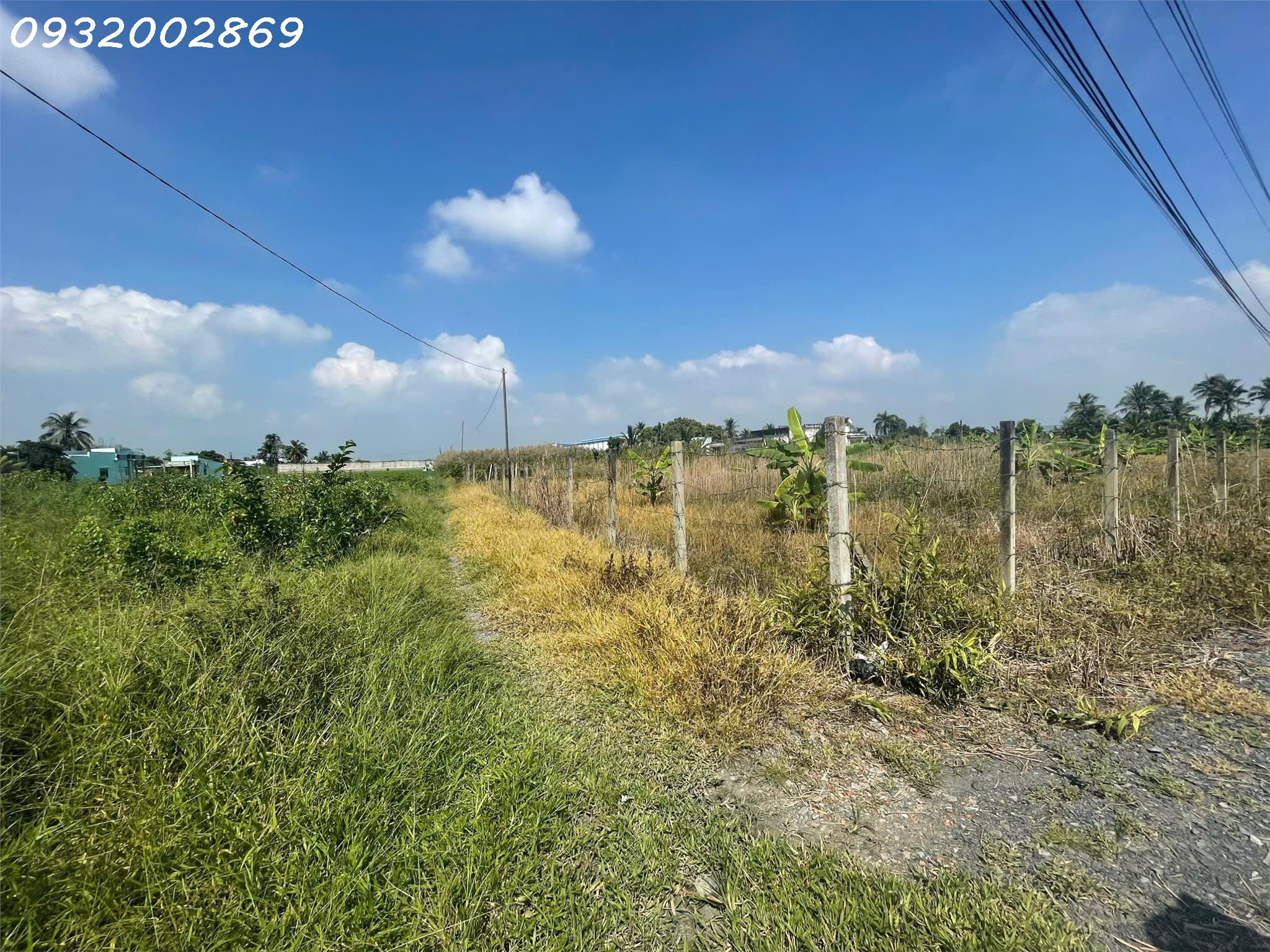 Cần tiền bán gấp 8.000m2 Tại Đường ĐT 830B, Cần Đước, Long An, giá chỉ 8tr/m2 - Ảnh 1