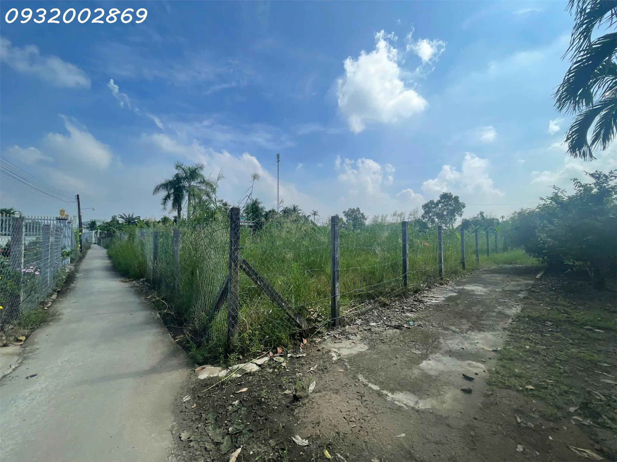 Cần tiền bán gấp 8.000m2 Tại Đường ĐT 830B, Cần Đước, Long An, giá chỉ 8tr/m2 - Ảnh 3