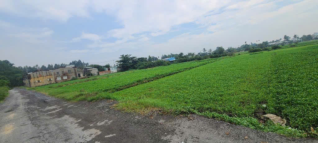 NHĨNH 35 TỶ GẤP BÁN HƠN 4.000M² ĐƯỜNG 6M THÔNG THẠNH XUÂN 14, Q12 - Ảnh 1
