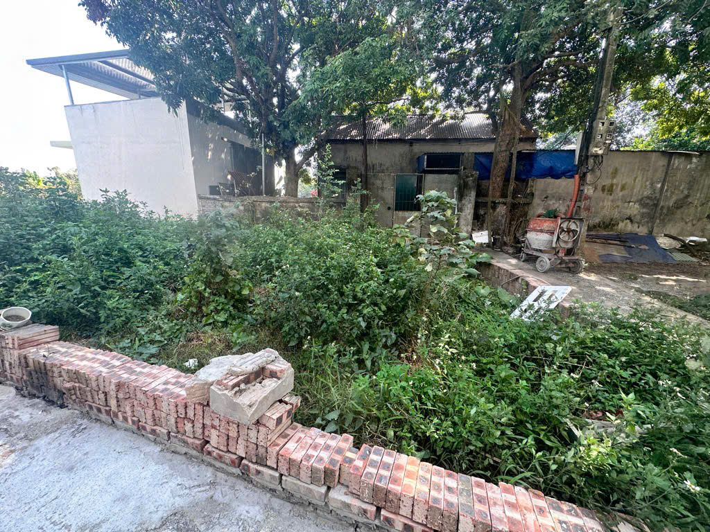 Bán đất Nông nghiệp 50 năm ở Đức Giang Long Biên diện tích rộng 370m giá 2 tỷ 7 - Ảnh 2