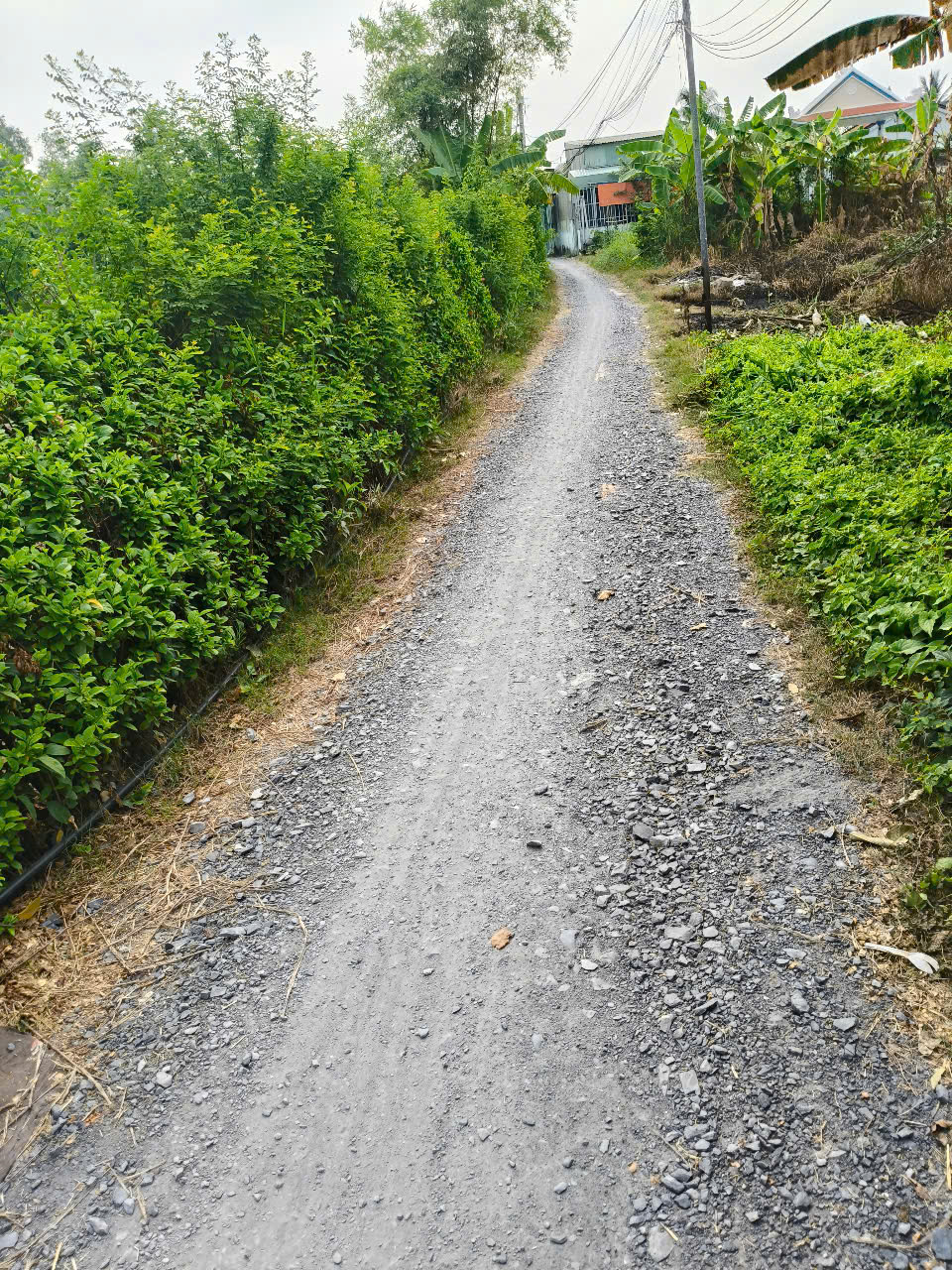 Chính Chủ Cần Bán Gấp Nhà Vị Trí Đẹp Tại Xã Tân Quý Tây, Bình Chánh - Ảnh 4