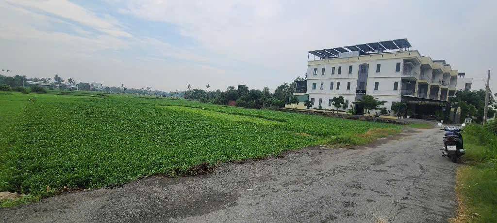 NHĨNH 35 TỶ GẤP BÁN HƠN 4.000M² ĐƯỜNG 6M THÔNG THẠNH XUÂN 14, Q12 - Ảnh chính