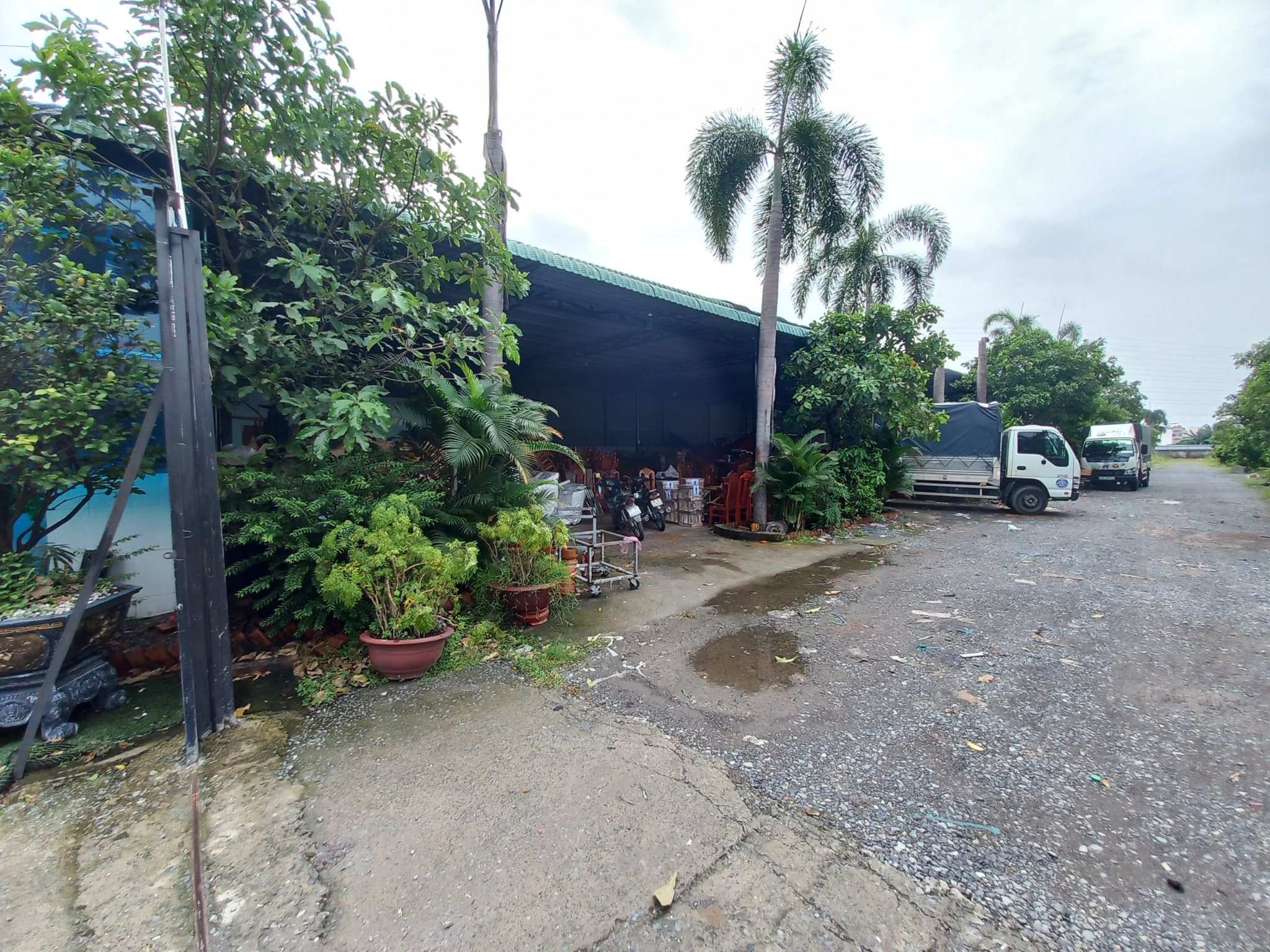 BÁN ĐẤT THỔ CƯ PHẠM THỊ GIÂY  11.000M2 - HÓC MÔN - GIÁ 180 TỶ - Ảnh 1