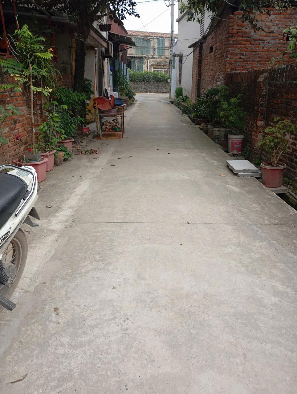 bán lô 74,8m phú nghĩa, gần quốc lộ 6 mở rộng, ô tô vào tận đất giá tốt - Ảnh chính