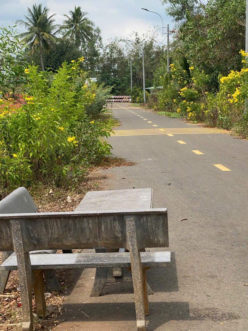 CHÍNH CHỦ BÁN ĐẤT Tại Đường số 4, Đường Hồ Thị Hương, Xã Bàu Trâm, Thành Phố Long Khánh, Đồng Nai - Ảnh 1