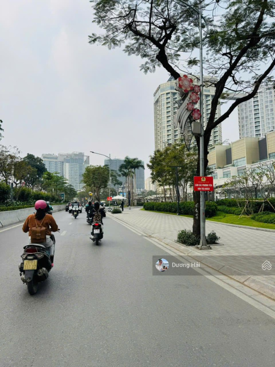 Bán biệt thự Vườn Đào 230m - View Vườn Hoa Nội Thất Sang Trọng Tích Sản Nơi Ở Giới Tinh Hoa - Ảnh chính