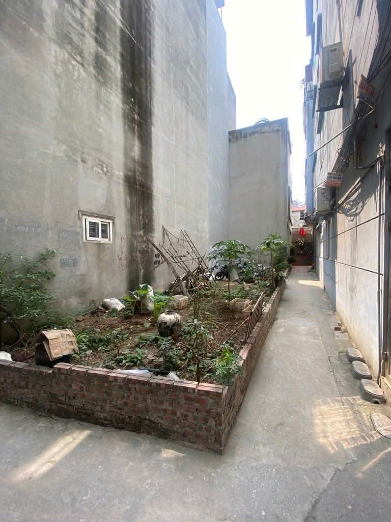 Bán Đất Ngọc Thụy – 48,5m², Lô Góc, Sổ Đỏ Chính Chủ - Long Biên, TP Hà Nội - Ảnh chính