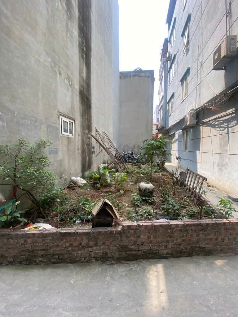Bán Đất Ngọc Thụy – 48,5m², Lô Góc, Sổ Đỏ Chính Chủ - Long Biên, TP Hà Nội - Ảnh 1