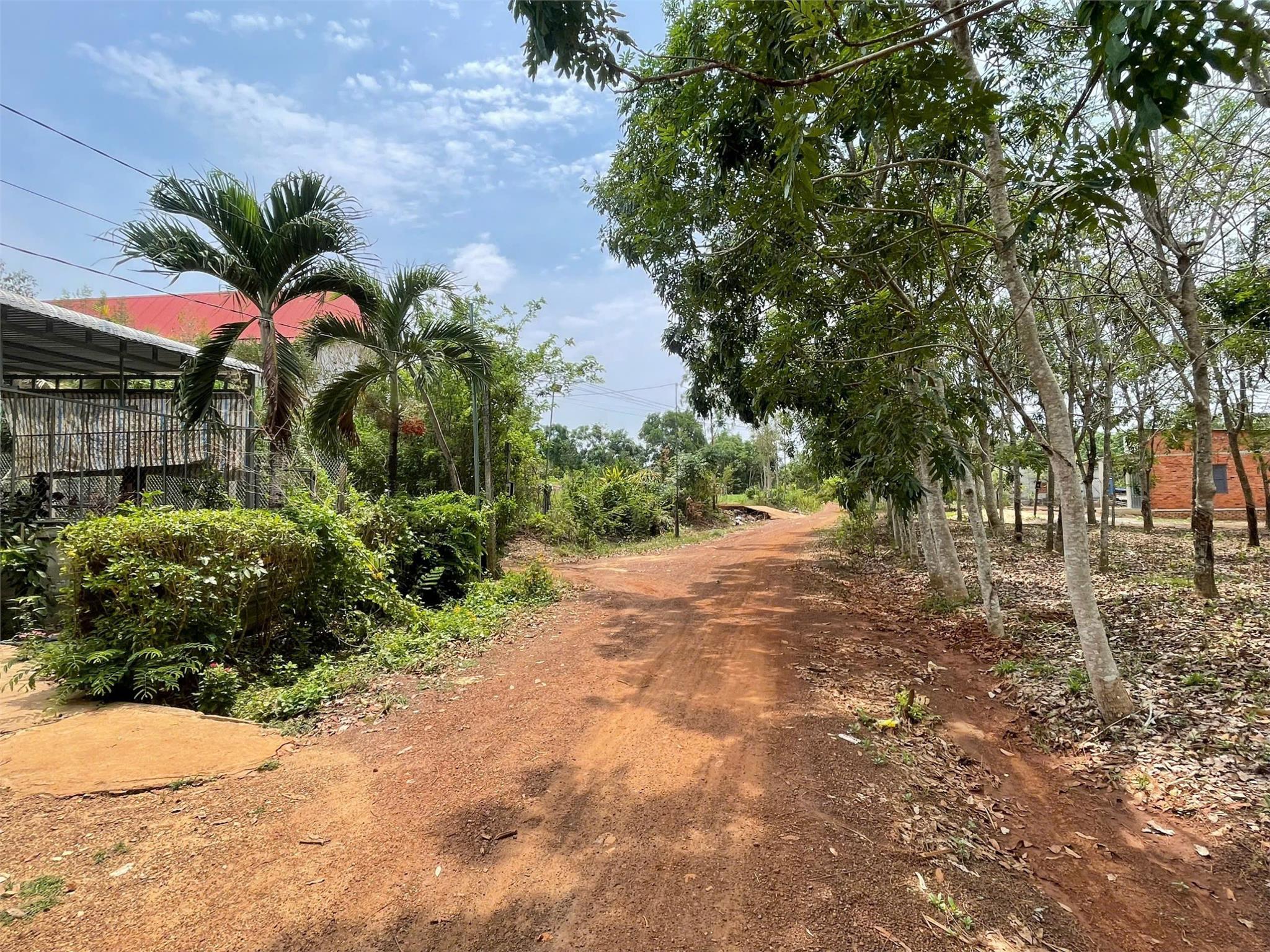 CHÍNH CHỦ CẦN BÁN Đất An Phú, Hớn Quản, Bình Phước - Giá Siêu Rẻ - Ảnh 3