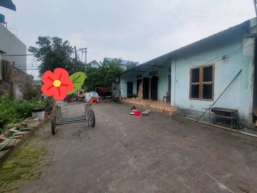 Chủ cần bán 178m2, mt9.7, ô tô, 8.5 tỷ, Bắc Hồng, Đông Anh. - Ảnh chính
