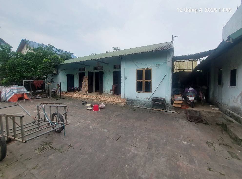 Chủ cần bán 178m2, mt9.7, ô tô, 8.5 tỷ, Bắc Hồng, Đông Anh. - Ảnh 3