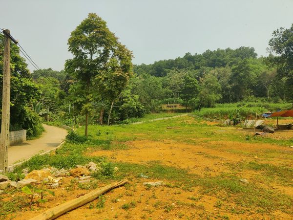 Mảnh đất Yên Bài, Ba Vì làm nhà vườn nghỉ dưỡng, DT 1500m2 thoáng 4 mặt, 2 mặt đường, mặt tiền gần - Ảnh chính
