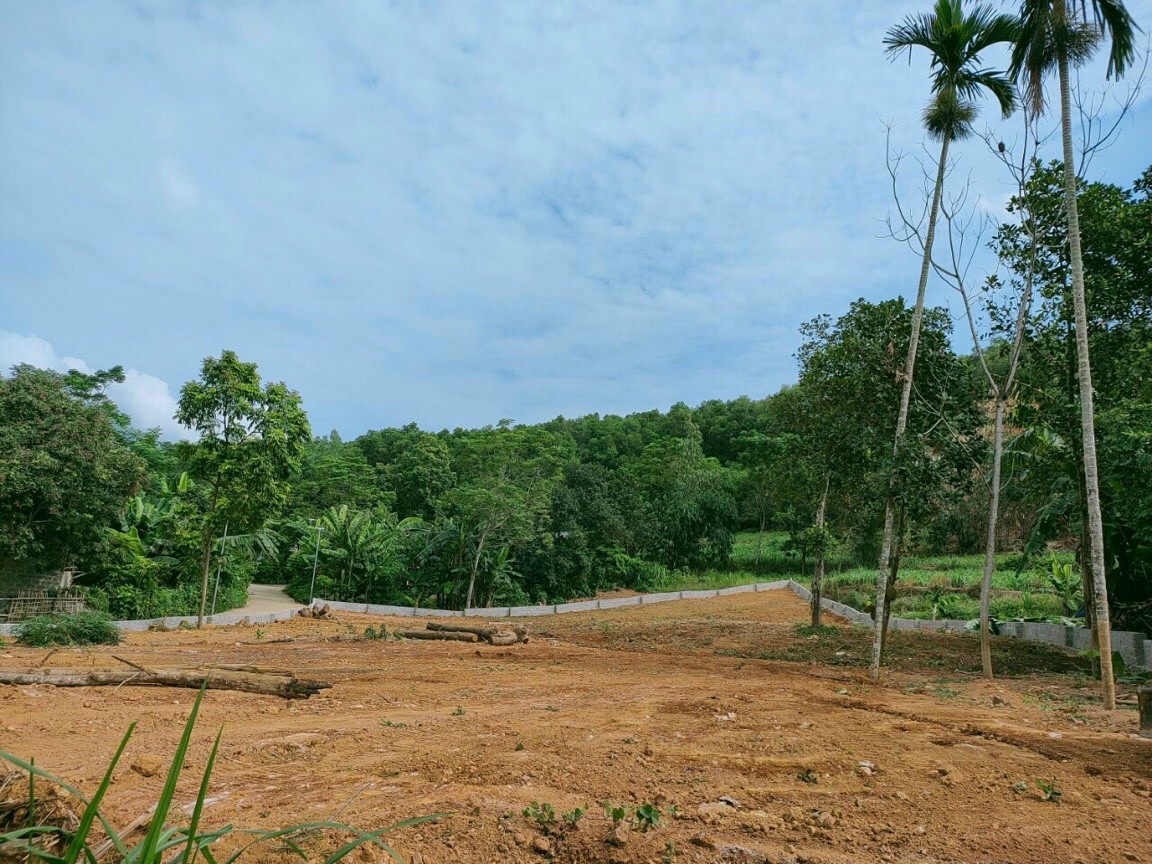 Mảnh đất Yên Bài, Ba Vì làm nhà vườn nghỉ dưỡng, DT 1500m2 thoáng 4 mặt, 2 mặt đường, mặt tiền gần - Ảnh 3