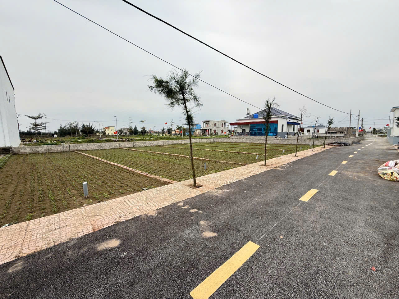 Cần bán nhanh lô đất 98m2 biển Giao Phong, Mặt tiền rộng, Full cư, giá chỉ hơn tỷ/1 lô. - Ảnh 1