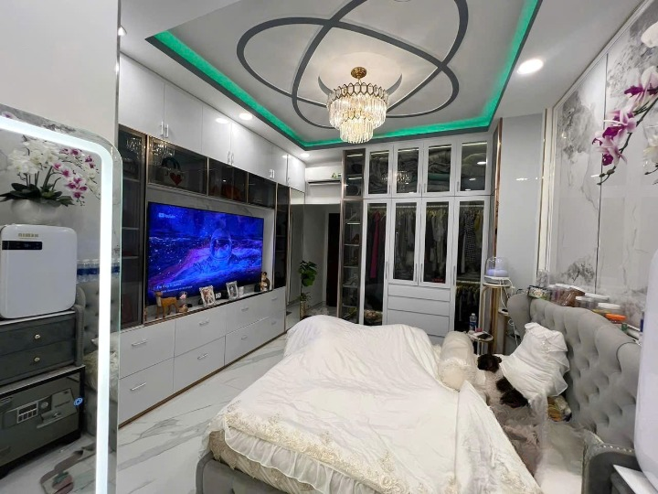 Nhà sang trọng HXH Tùng Thiện Vương Q8 - Ảnh 3