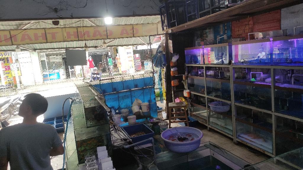 MTKD (7.5X28) MẶT TIỀN NGUYỄN ẢNH THỦ, HIỆP THÀNH, Q12 GIÁ ĐẦU TƯ - Ảnh 3