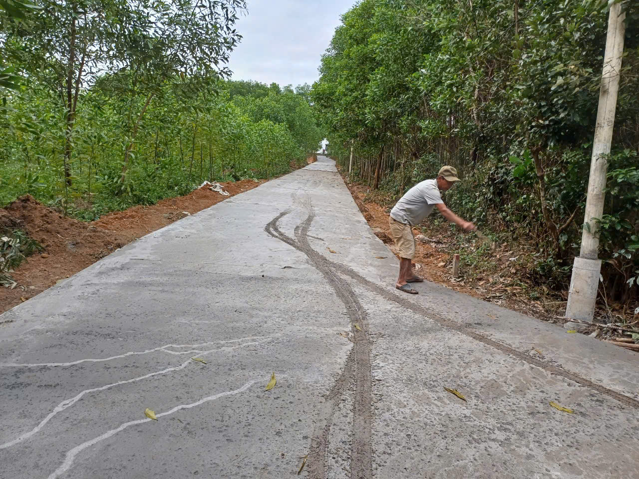 Cần bán nhanh lô đất thôn Phú Lâm, xã Hải Phú, huyện Hải Lăng, Quảng Trị - Ảnh chính