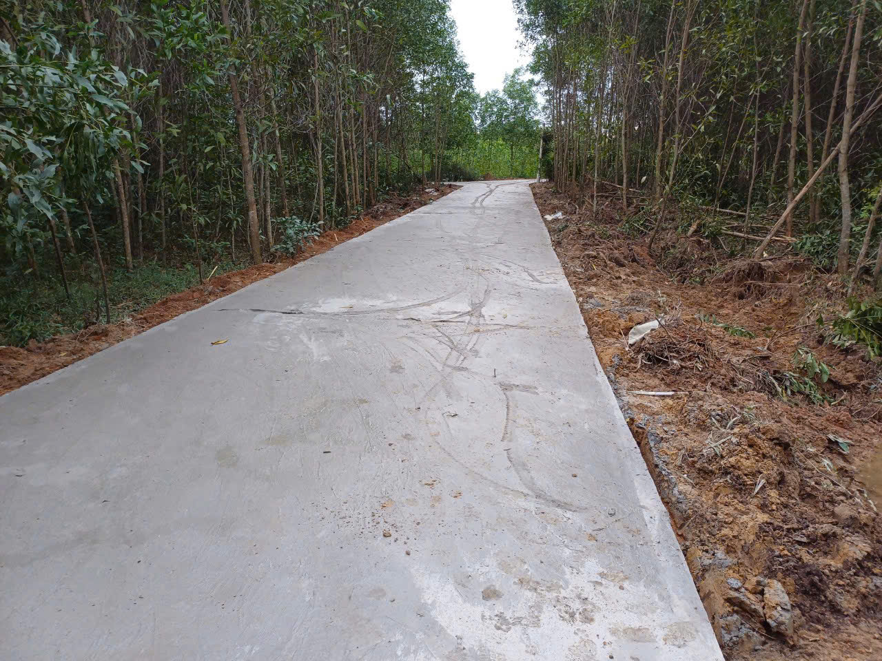 Cần bán nhanh lô đất thôn Phú Lâm, xã Hải Phú, huyện Hải Lăng, Quảng Trị - Ảnh 1