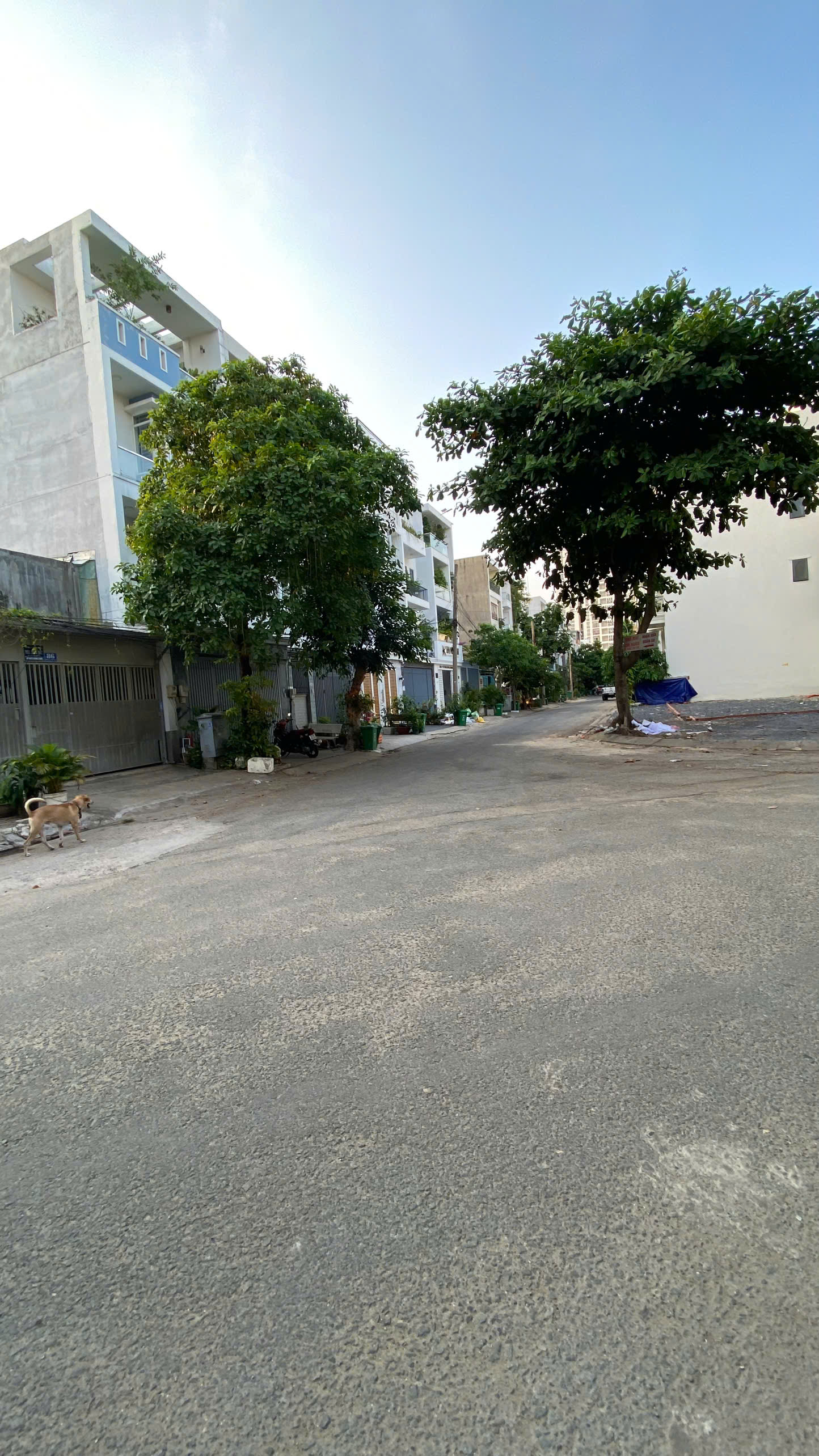 Bán Lô Đất Đường 10A – An Khánh, Q2 – 4x16.5m – Gần Trần Lựu – Giá Tốt - Ảnh chính