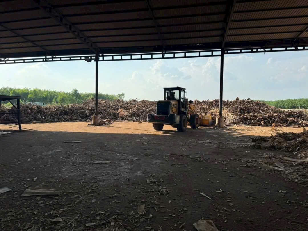 Cho Thuê Xưởng 7ha Cưa Xẻ – Viên Nén Gỗ Chơn Thành Bình Phước.Giá 1 Tỷ/Tháng. Liên hệ: - Ảnh 2