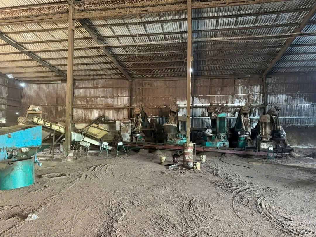 Cho Thuê Xưởng 7ha Cưa Xẻ – Viên Nén Gỗ Chơn Thành Bình Phước.Giá 1 Tỷ/Tháng. Liên hệ: - Ảnh 3