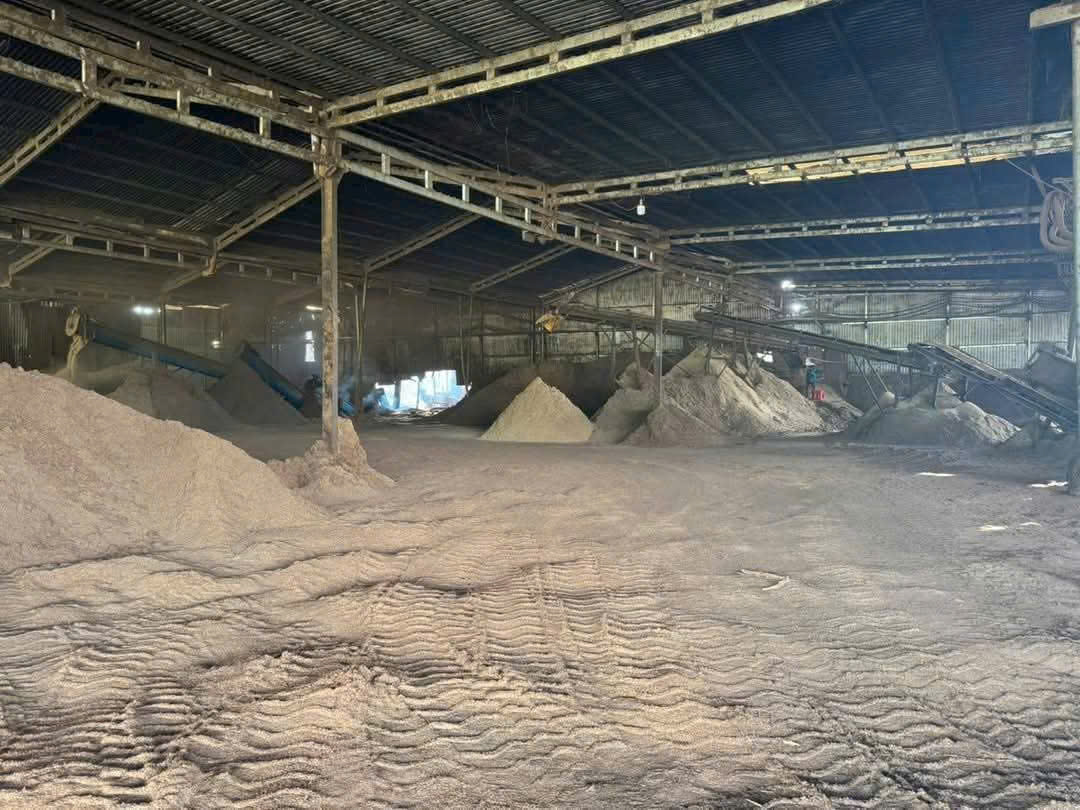 Cho Thuê Xưởng 7ha Cưa Xẻ – Viên Nén Gỗ Chơn Thành Bình Phước.Giá 1 Tỷ/Tháng. Liên hệ: - Ảnh 4