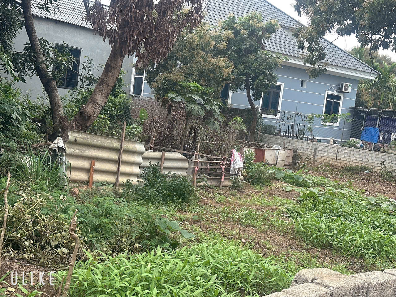 582M2 SƠN ĐÔNG, GIÁ LOANH QUANH 10TR/M2 - Ảnh 2