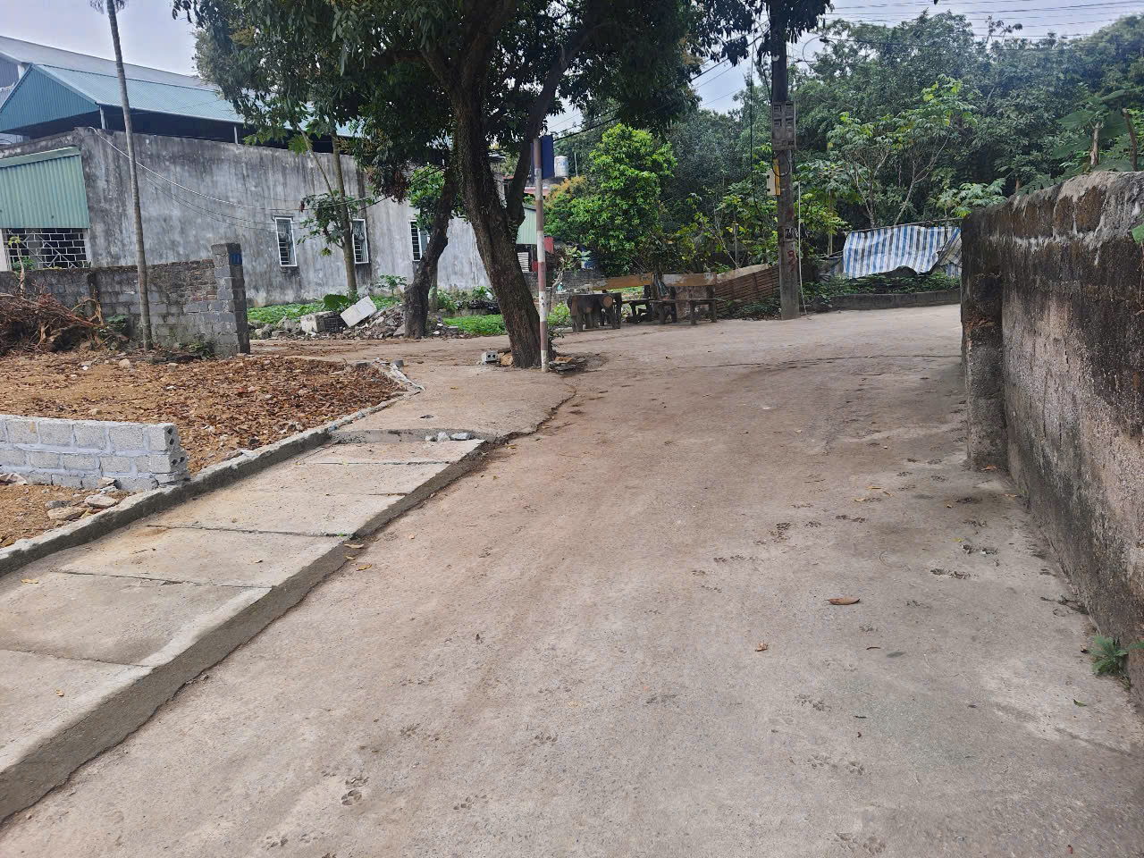 ĐẤT ĐẸP - GIÁ TỐT - Vị Trí Đắc Địa Tại Lương Sơn, Hoà Bình - Ảnh 3