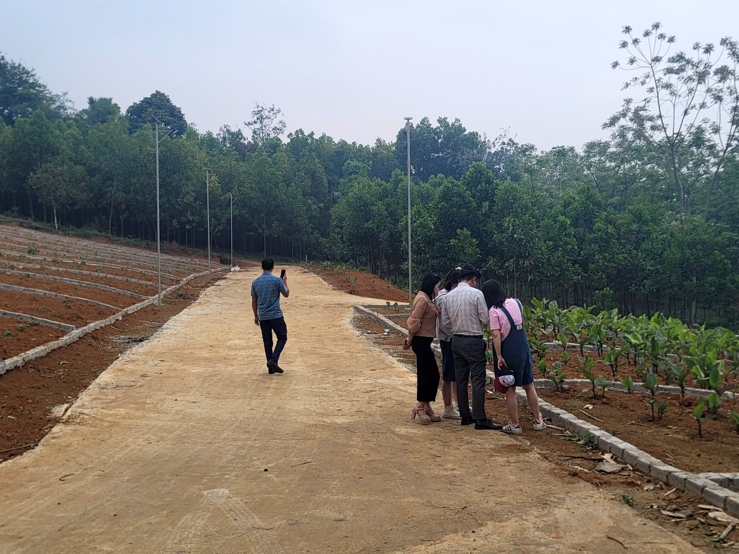 Chỉ hơn 200 triệu sở hữu lô đất hơn 100 m2 thổ cư tại Ngọc Lặc, Thanh Hóa - Ảnh chính