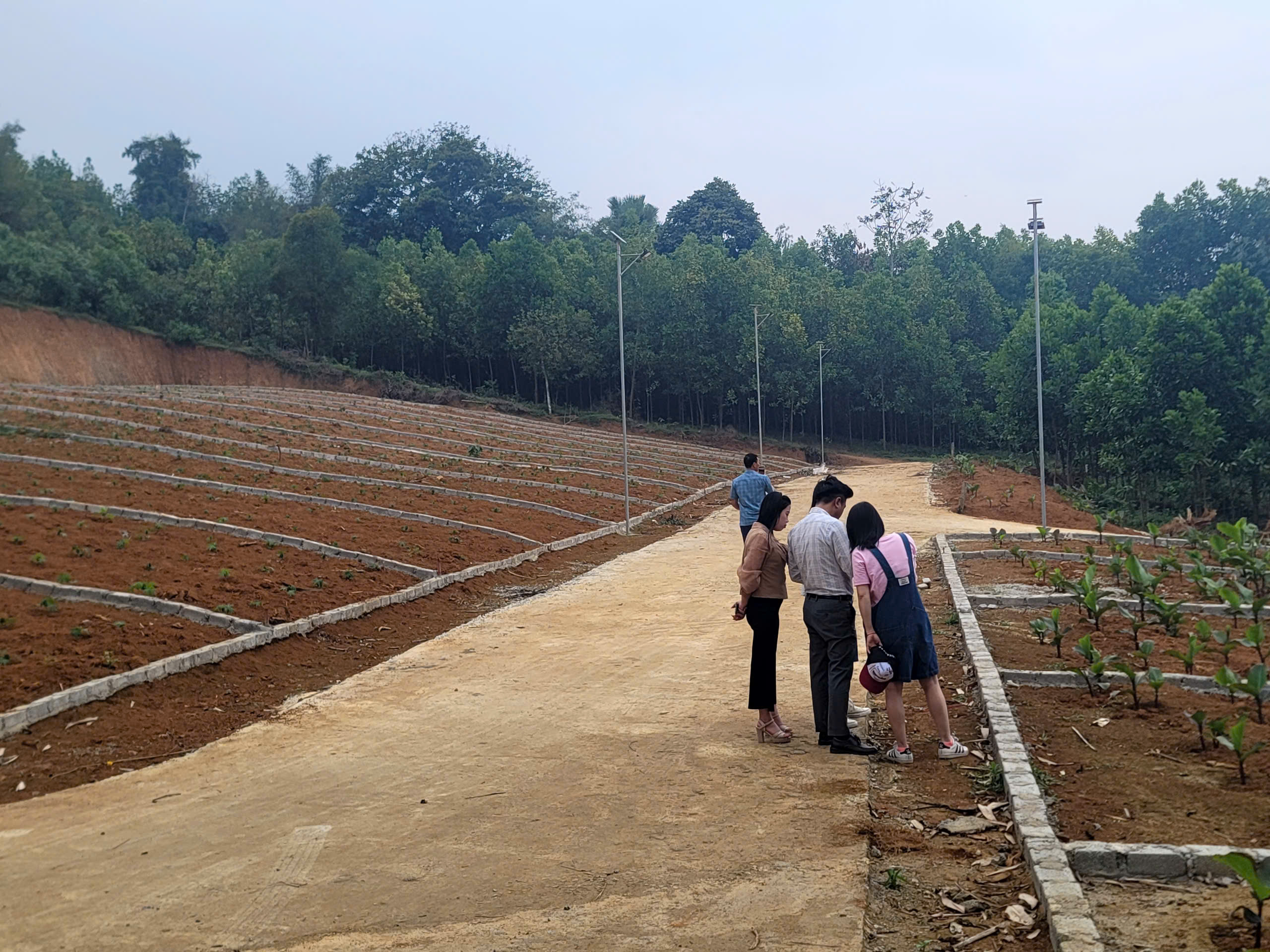 Chỉ hơn 200 triệu sở hữu lô đất hơn 100 m2 thổ cư tại Ngọc Lặc, Thanh Hóa - Ảnh 1