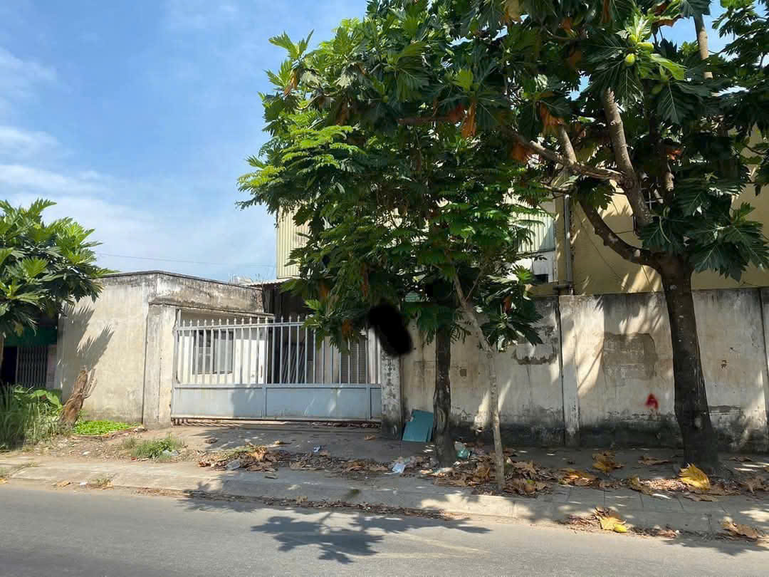 XƯỞNG (2.100M²) 2 MẶT TIỀN CONTER XUÂN THỚI THƯỢNG, HÓC MÔN GIÁ TỐT - Ảnh 1