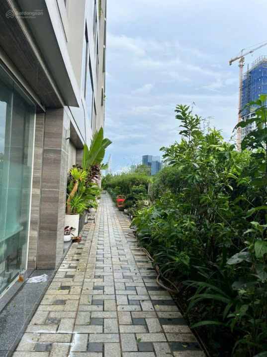 CHO THUÊ NHÀ PHỐ DỰ ÁN D VERANO, Đường NGUYỄN CƠ THẠCH, P. THỦ THIÊM, TP THỦ ĐỨ - Ảnh 3