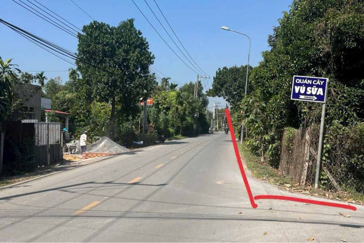 Vườn Măng Đẹp Long Lanh Như Trong Tranh, 1.750m2, An Sơn, Thuận An, Bình Dương - Ảnh 2