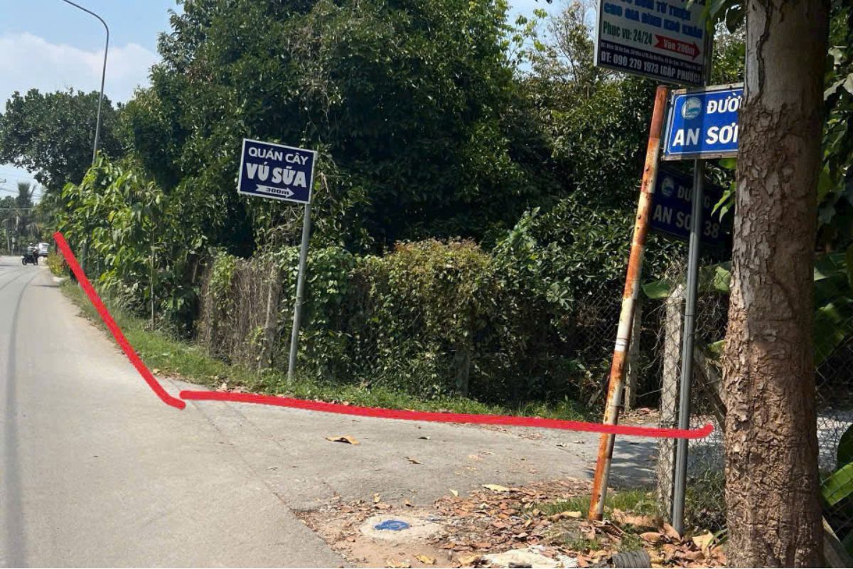 Vườn Măng Đẹp Long Lanh Như Trong Tranh, 1.750m2, An Sơn, Thuận An, Bình Dương - Ảnh 3