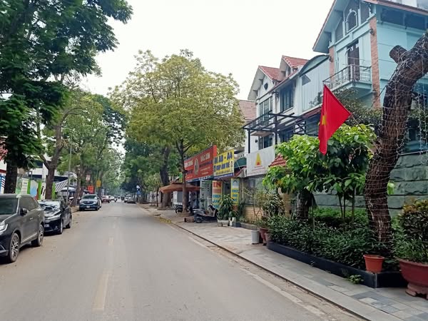 Cho thuê biệt thự Mỹ Đình 2 - Giá siêu rẻ chỉ 35 triệu/tháng - Ảnh 1