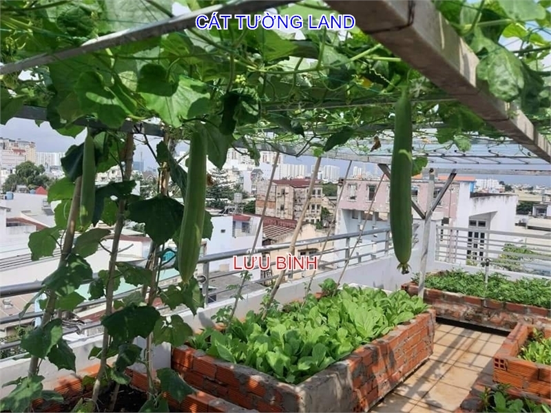 Bán nhà 7x15m, 5 Tầng. Hẻm 8m Phan Huy Ích, Tân Bình. Rất gấp bán, giá tốt - Ảnh 4