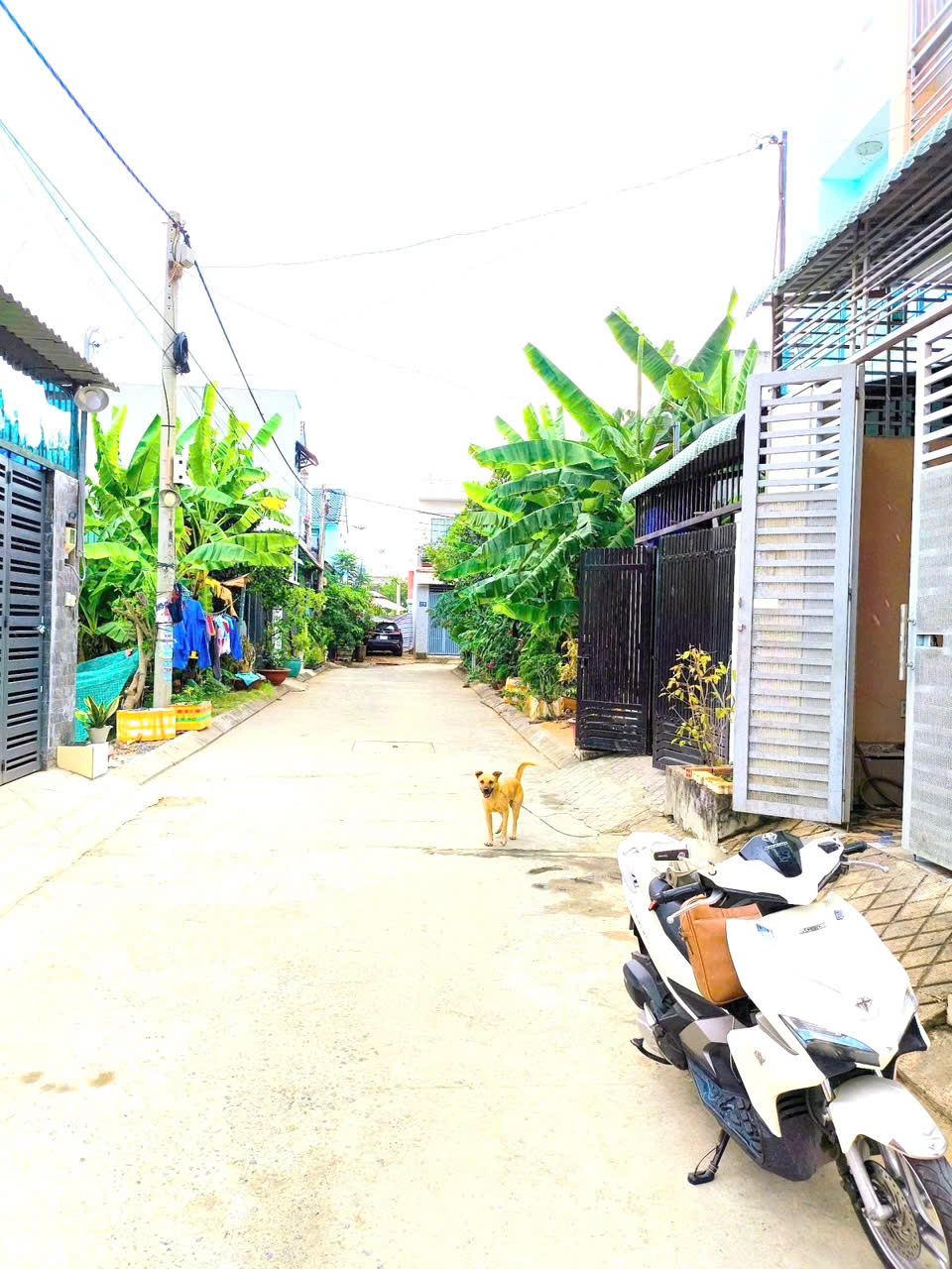 MỚI VỀ, Nhà Phân lô, hẻm xe tải 6m, PHÂN LÔ, DTSd 113m2, Long Phước, Q9, giá chỉ 3ty hơn - Ảnh 1