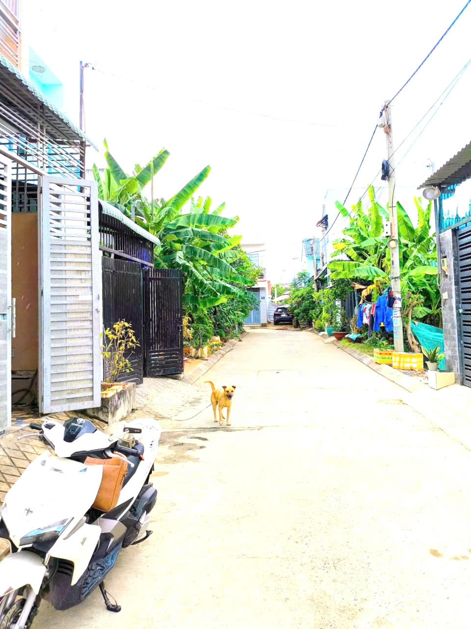 MỚI VỀ, Nhà Phân lô, hẻm xe tải 6m, PHÂN LÔ, DTSd 113m2, Long Phước, Q9, giá chỉ 3ty hơn - Ảnh 2