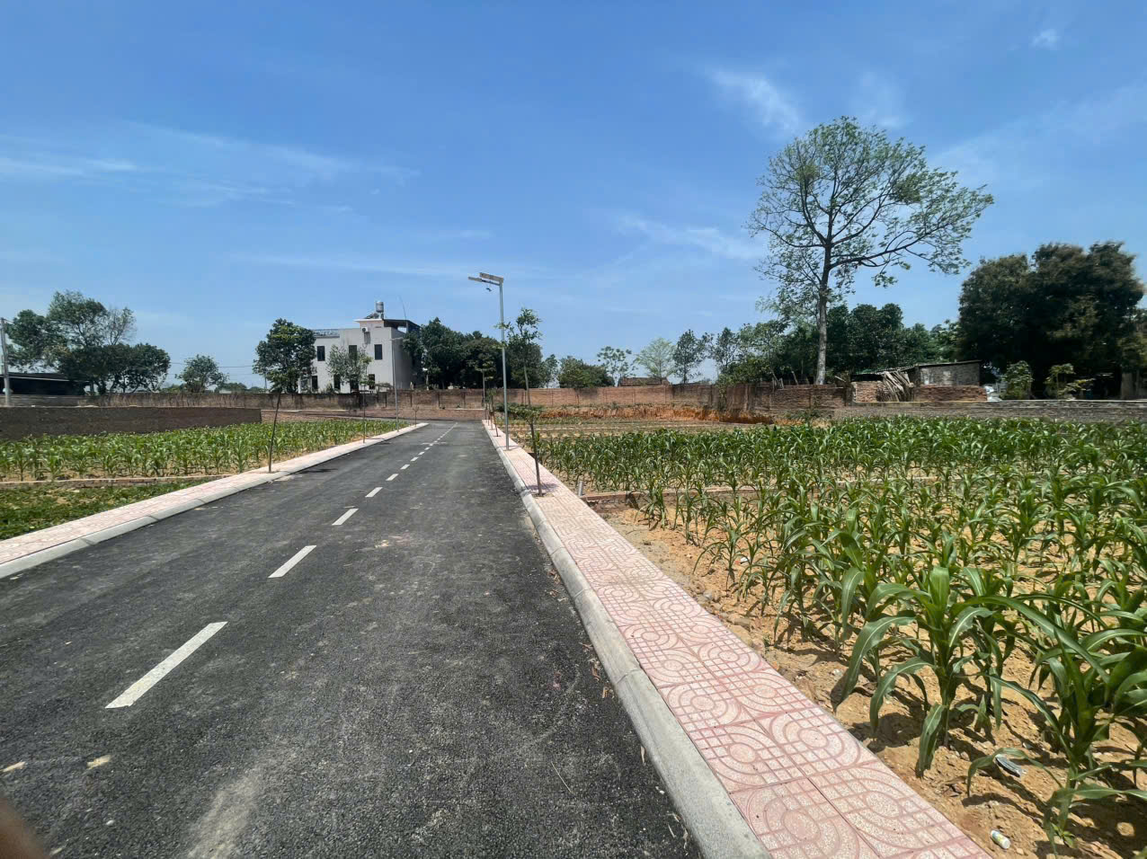 Nhanh tay sở hữu lô đất đẹp tại Khu Phân Lô Kiểu Mẫu, Tiên Chu, Xã Bắc Sơn, Sóc Sơn - Ảnh chính