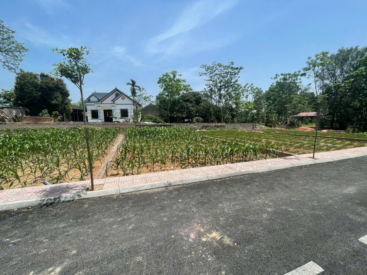Nhanh tay sở hữu lô đất đẹp tại Khu Phân Lô Kiểu Mẫu, Tiên Chu, Xã Bắc Sơn, Sóc Sơn - Ảnh 1