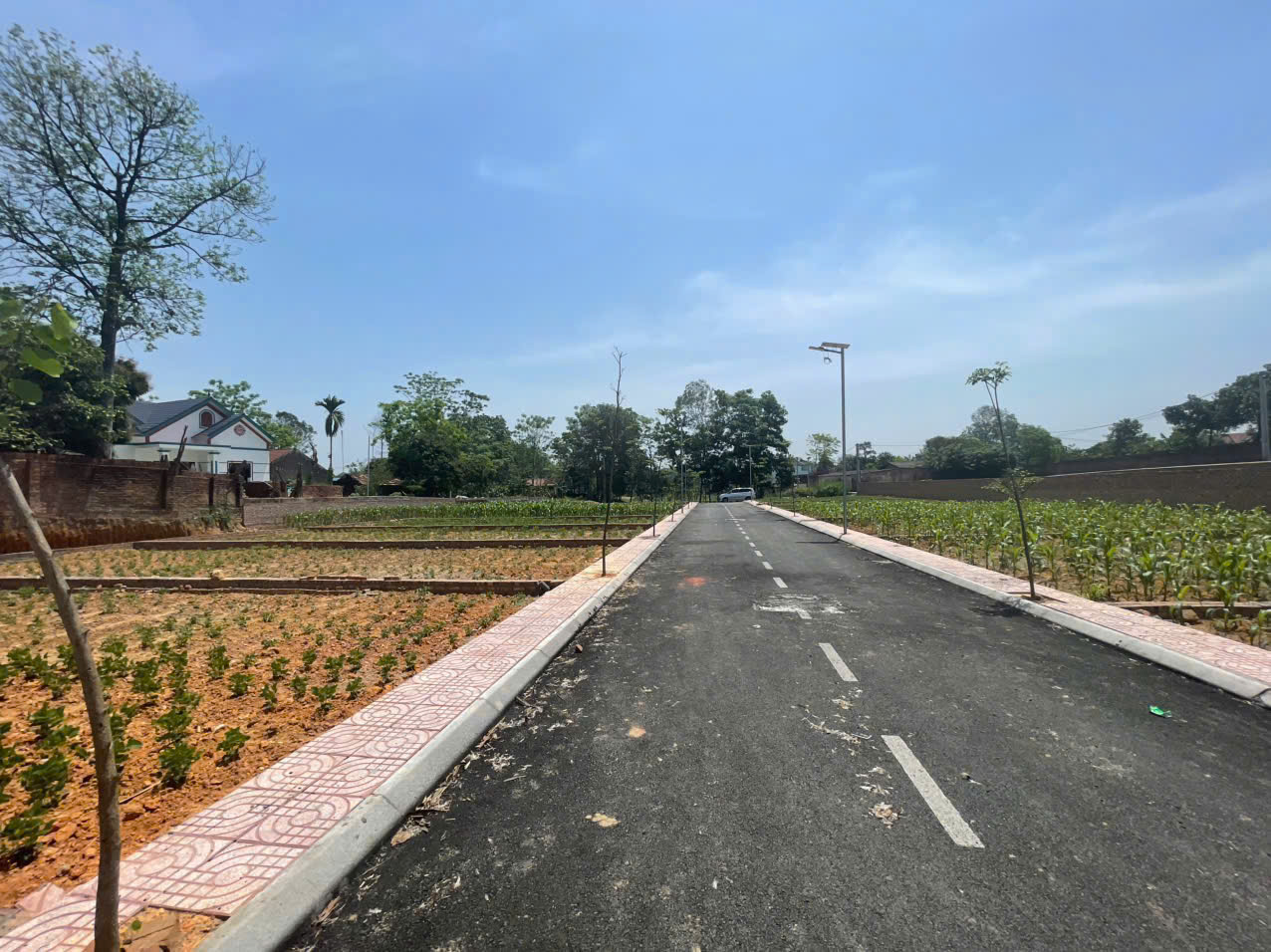 Nhanh tay sở hữu lô đất đẹp tại Khu Phân Lô Kiểu Mẫu, Tiên Chu, Xã Bắc Sơn, Sóc Sơn - Ảnh 3