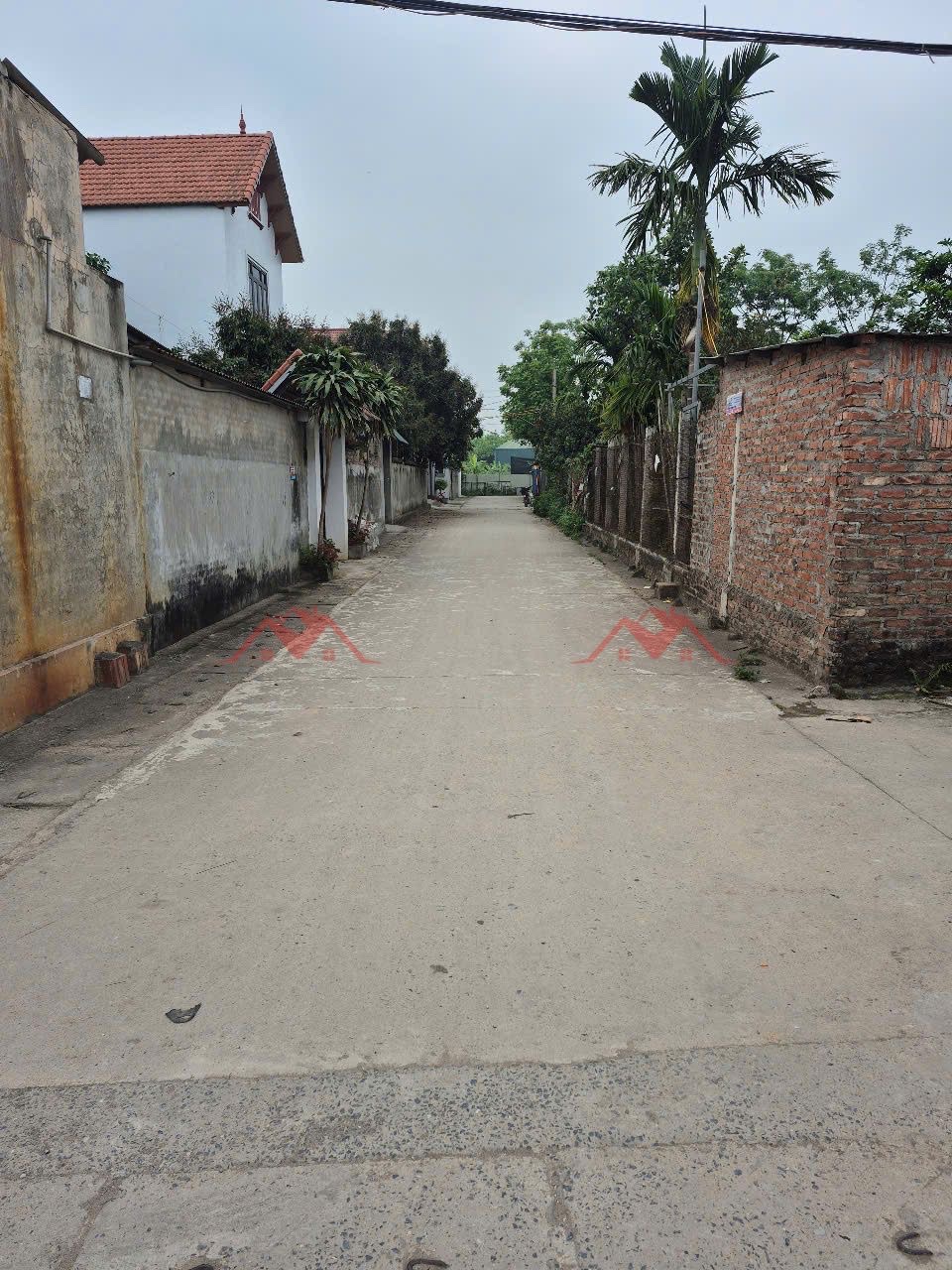 CHÍNH CHỦ BÁN LÔ ĐẤT 96,4M TẠI PHỤNG CHÂU-CHƯƠNG MỸ-HÀ NỘI - Ảnh 1