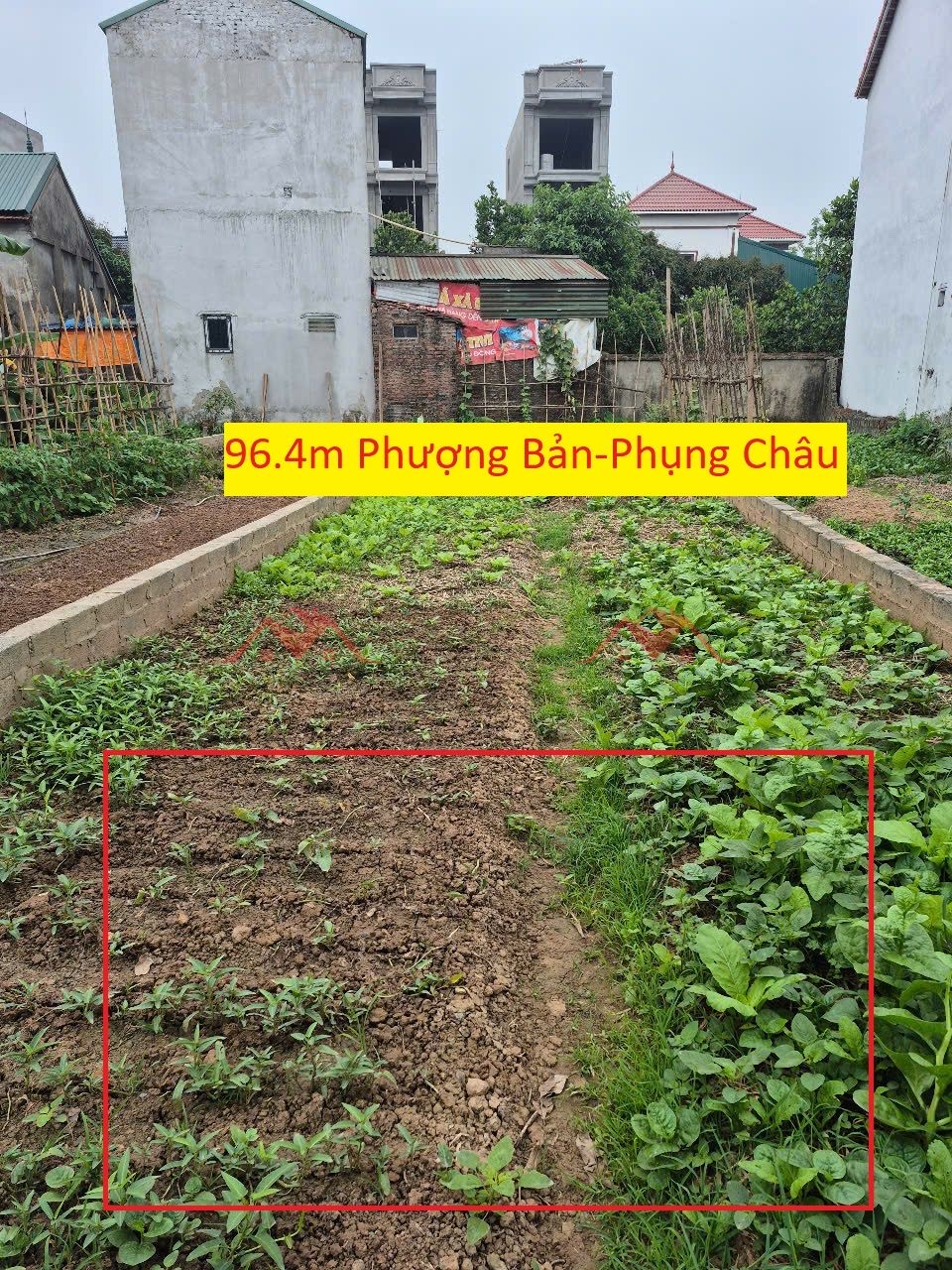 CHÍNH CHỦ BÁN LÔ ĐẤT 96,4M TẠI PHỤNG CHÂU-CHƯƠNG MỸ-HÀ NỘI - Ảnh chính