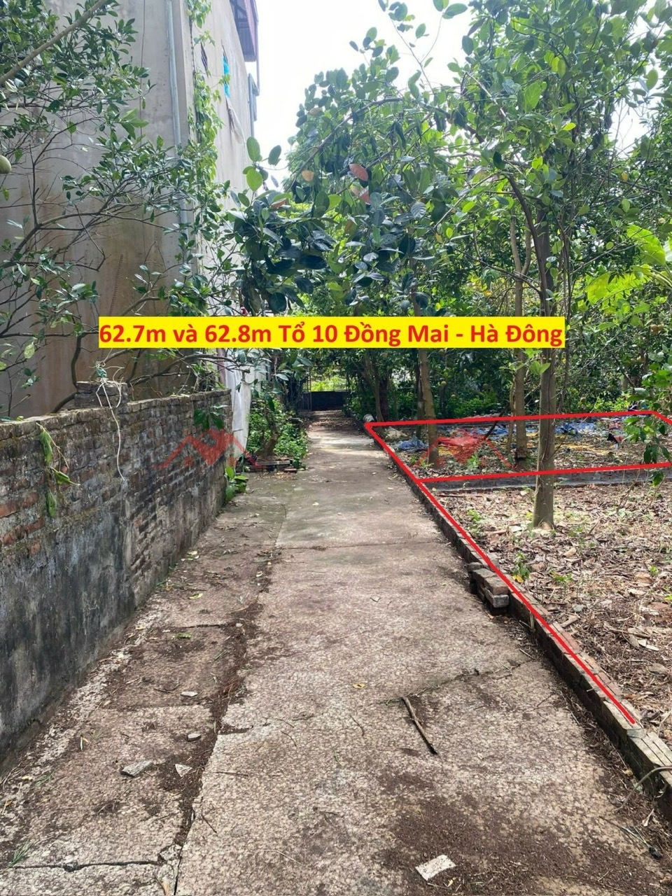 CHÍNH CHỦ BÁN 2 LÔ ĐẤT 62,7M VÀ 62,8M TẠI ĐỒNG MAI-HÀ ĐÔNG-HÀ NỘI - Ảnh chính