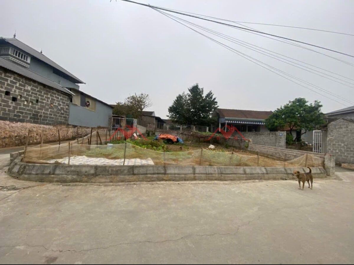 CHÍNH CHỦ BÁN LÔ ĐẤT 106,5M TẠI TÂN TẾN-CHƯƠNG MỸ-HÀ NỘI - Ảnh 1